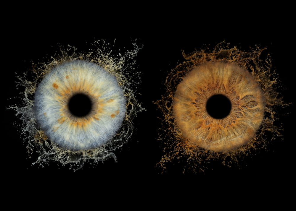 Artiris - Photographie d'iris